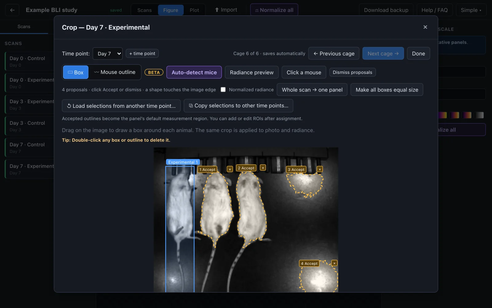SimpleBLI crop window showing the Auto-detect mice button and proposed dashed mouse outlines on an anonymized real IVIS photograph
